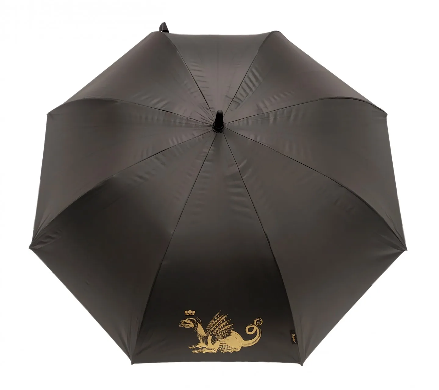 Umbrella – 5