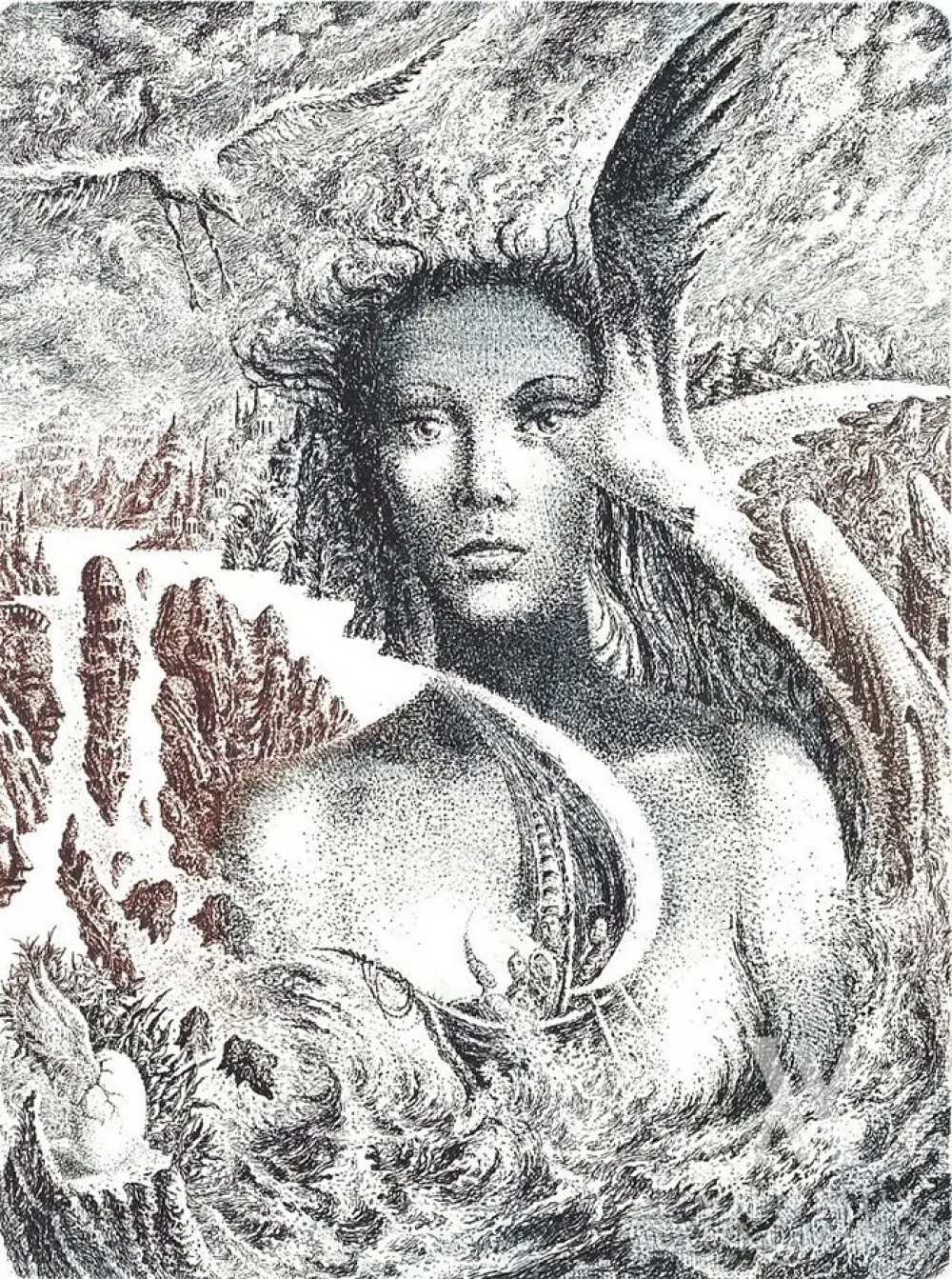 Marius Liugaila – Žuvėdros žvilgsnis
