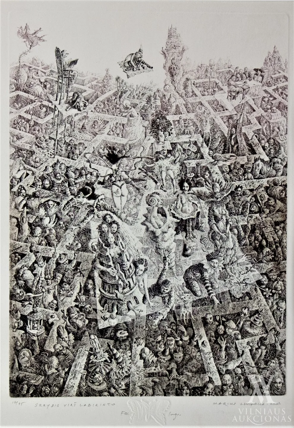 Marius Liugaila – Skrydis virš labirinto