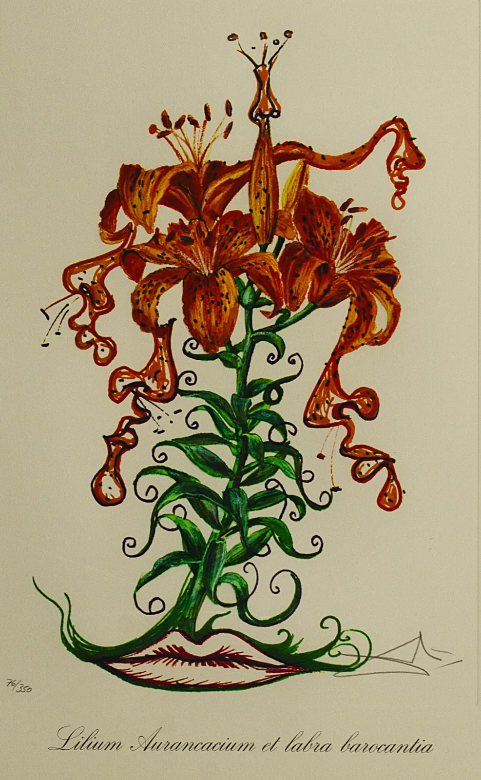 Salvadoras Dali (Salvador Dali) – Lelija | Florals. Lilium aurancacium et labra barocantia. Iš ciklo „Surrealist Flowers“