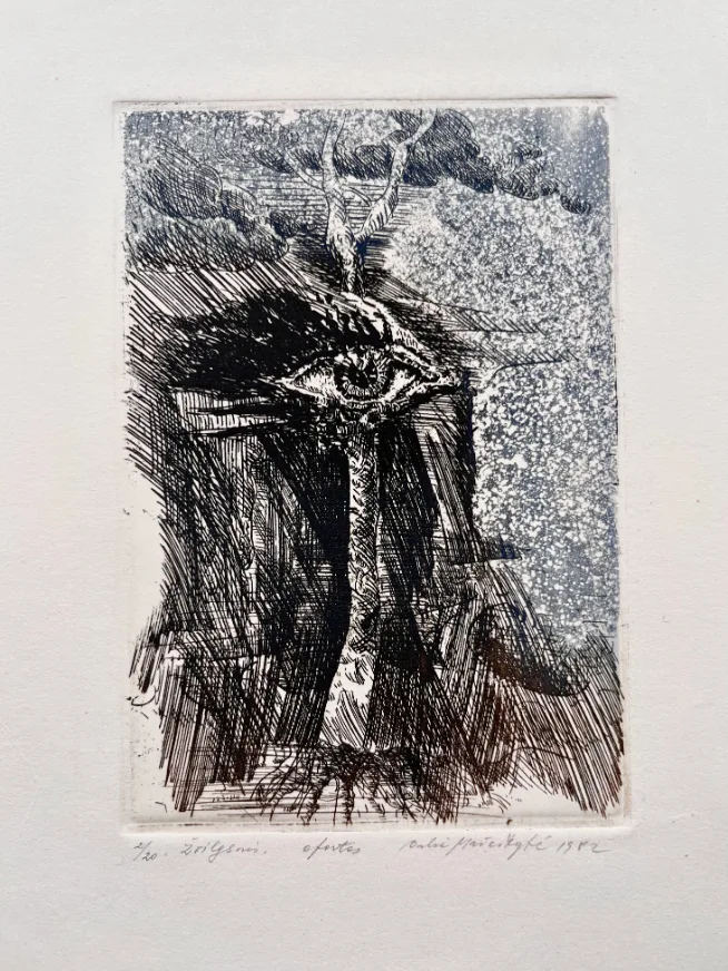 Dalia Genovaitė  Mažeikytė – Žvilgsnis