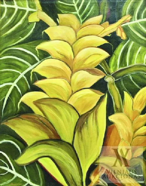 Magdalena Birutė Stankūnas – Aphelandra