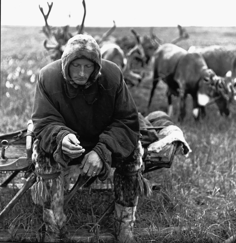 Juozas Kazlauskas – Elnių augintojas. Jugros tundra