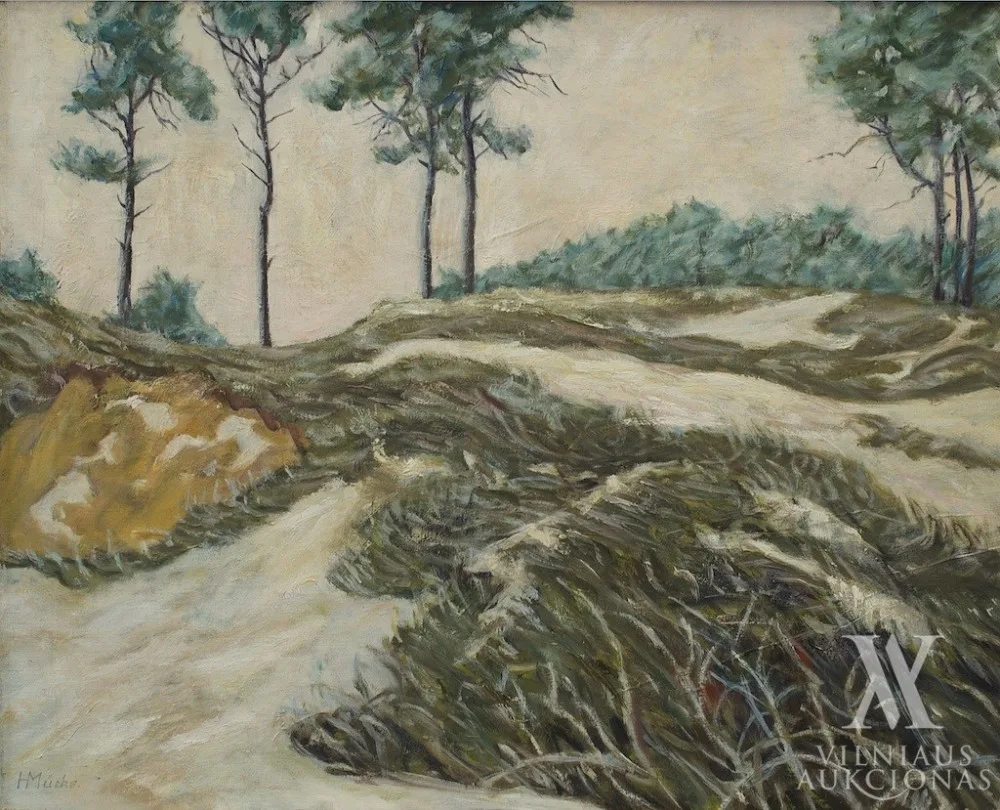 Autorius Nežinomas – Kopos prie Baltijos jūros