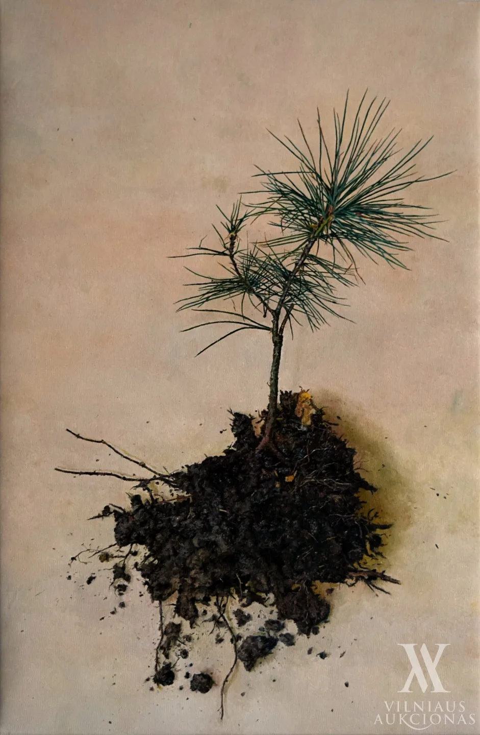 Petras  Lincevičius – Prieš žiemą III 