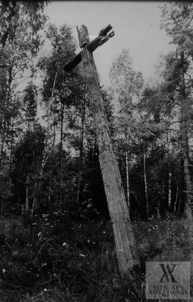 Algimantas ir Mindaugas Černiauskai – Bingelių kaimo kapinėse