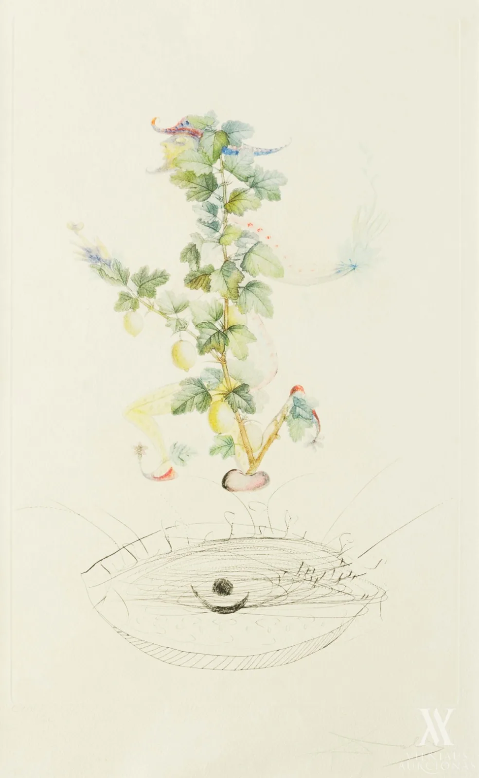 Salvadoras Dali (Salvador Dali) – FlorDali: Les fruits: reverence de Grosillier