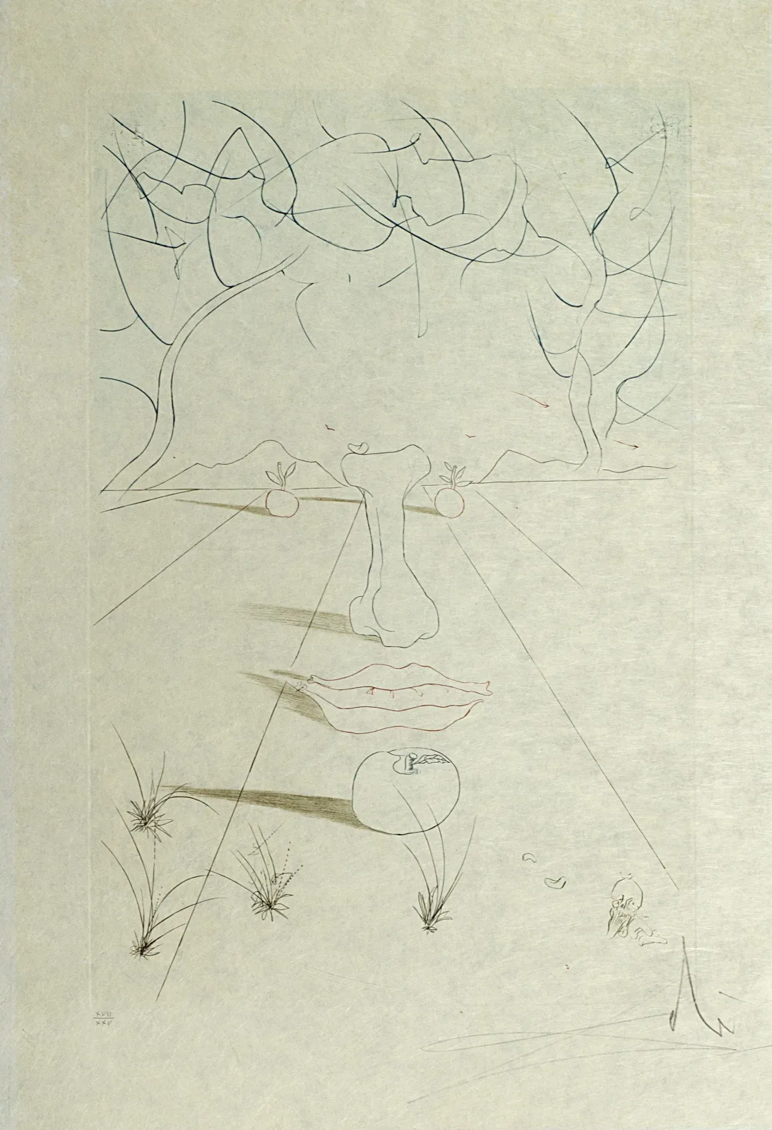 Salvadoras Dali – Siurrealistinis veidas, iš ciklo „Aurelia” | Aurelia. Visage surrealiste