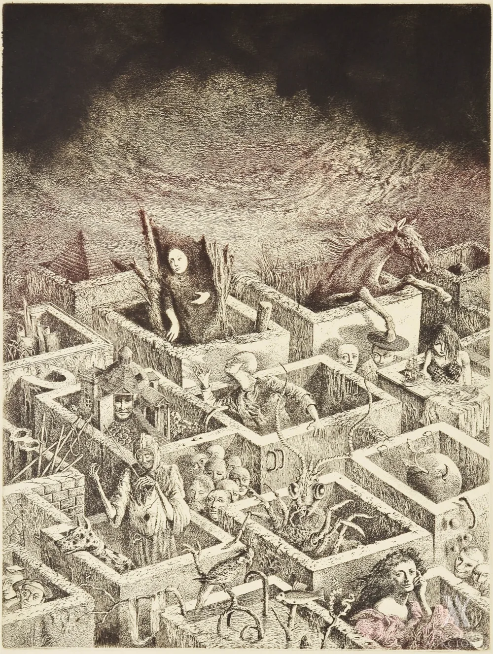 Marius Liugaila – Gyvenimas labirinte, arba labirintas gyvenime
