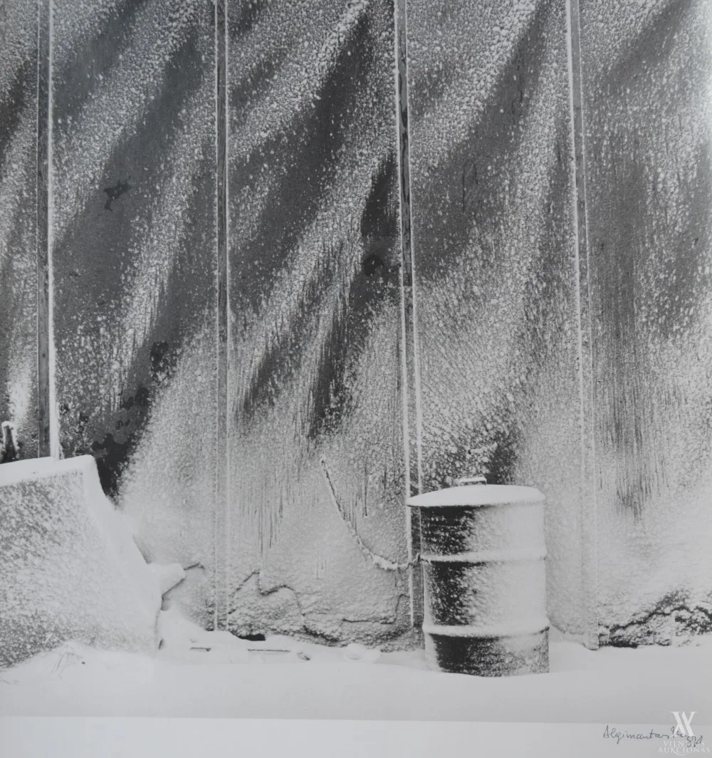 Algimantas Kezys – Winter in Chicago