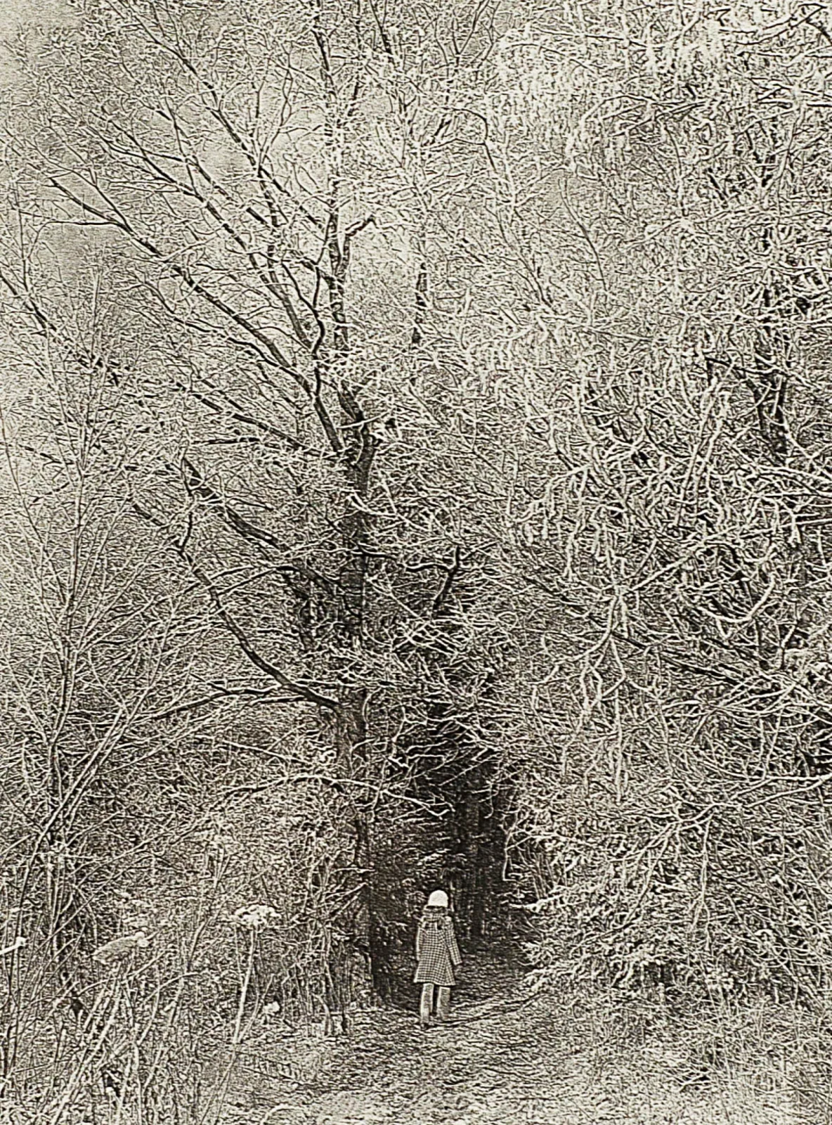 Zenonas Nekrošius – Pasaka