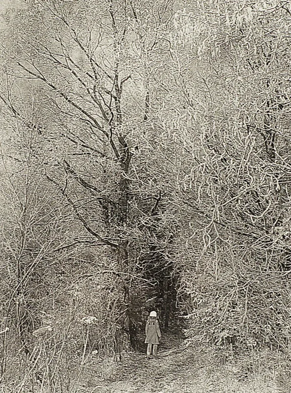 Zenonas Nekrošius – Pasaka