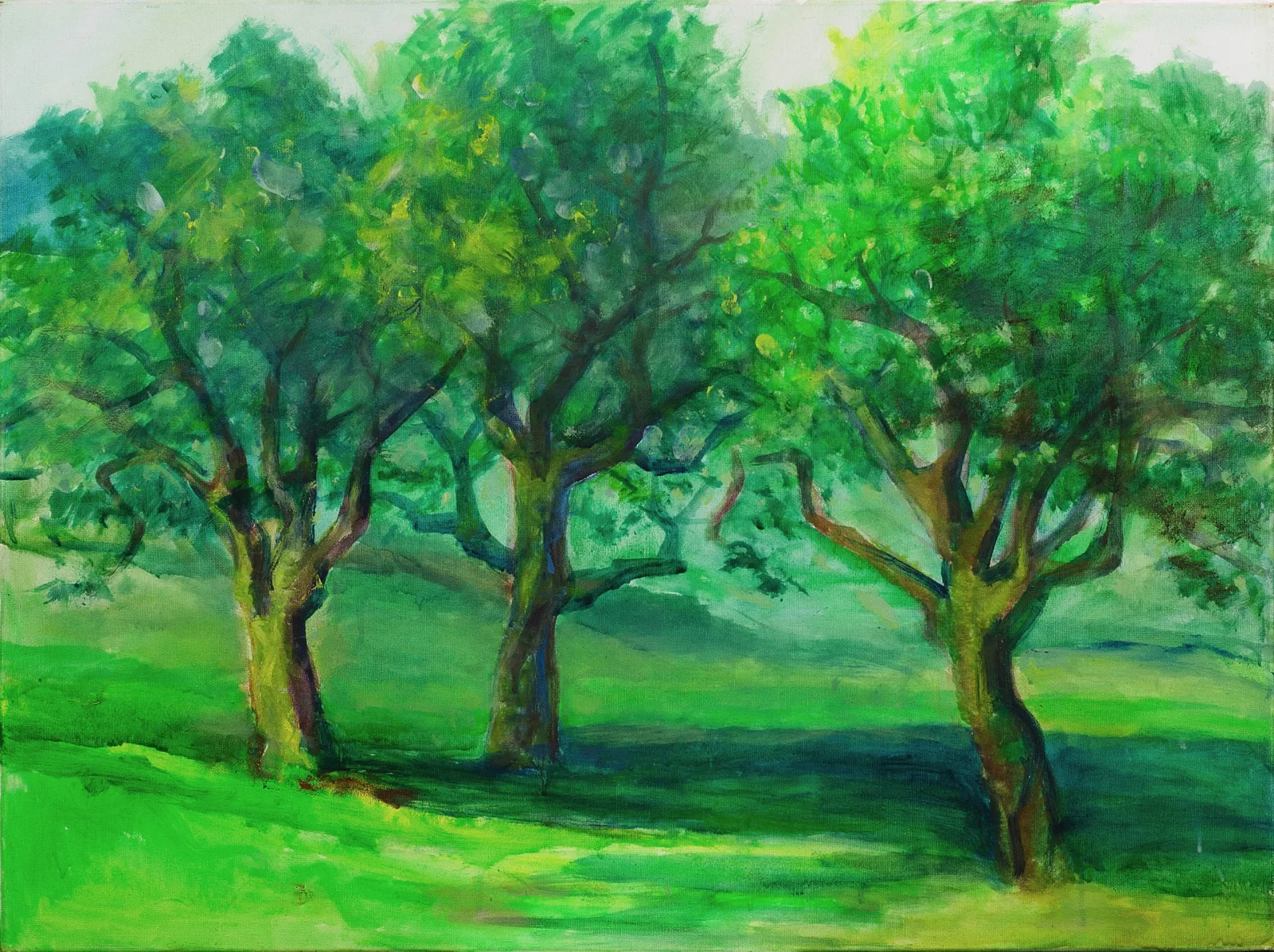 Saulius Ercmonas – Sodas