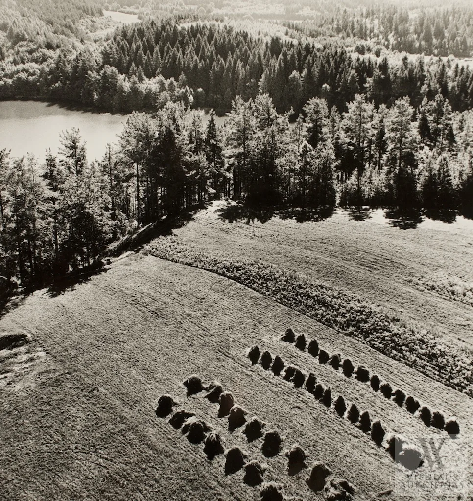 Antanas Sutkus – Peizažas su gubomis (Ignalina)