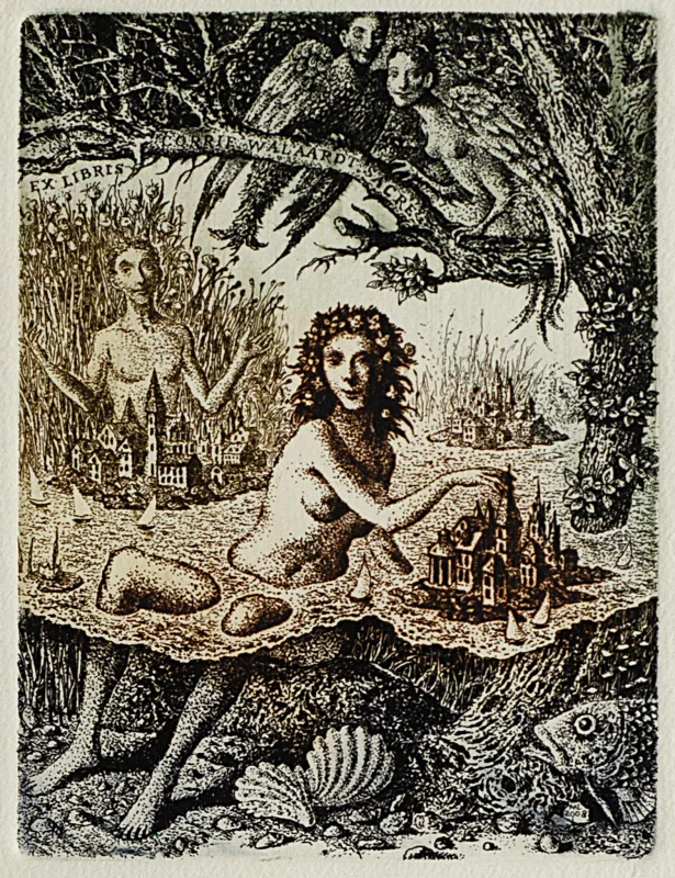 Marius Liugaila – Islands