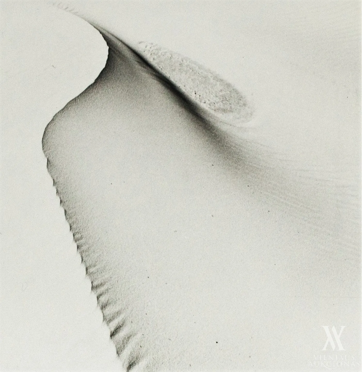 Jonas Kalvelis – Kopos