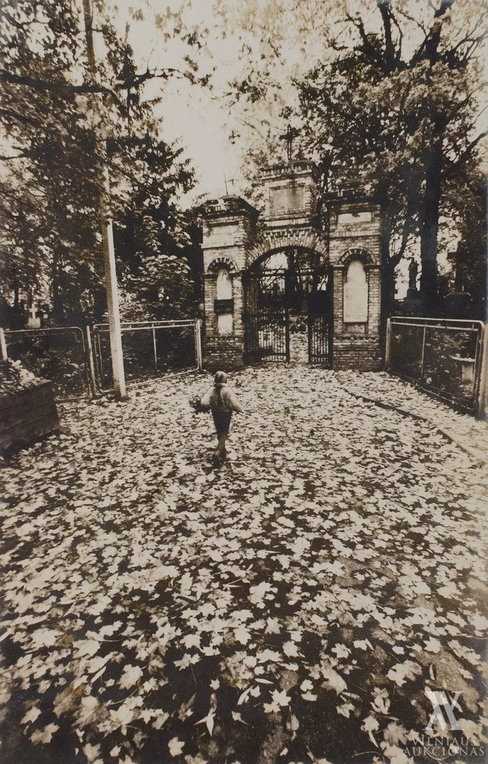Aleksandras  Ostašenkovas – Ruduo 