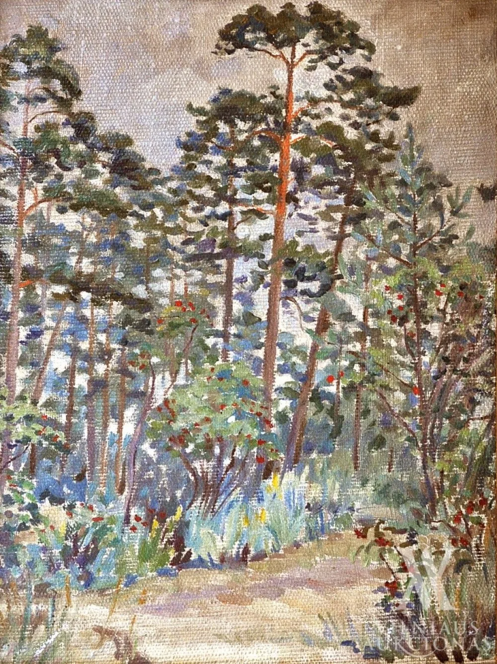 Rimtas Kalpokas – Pajūrio miške
