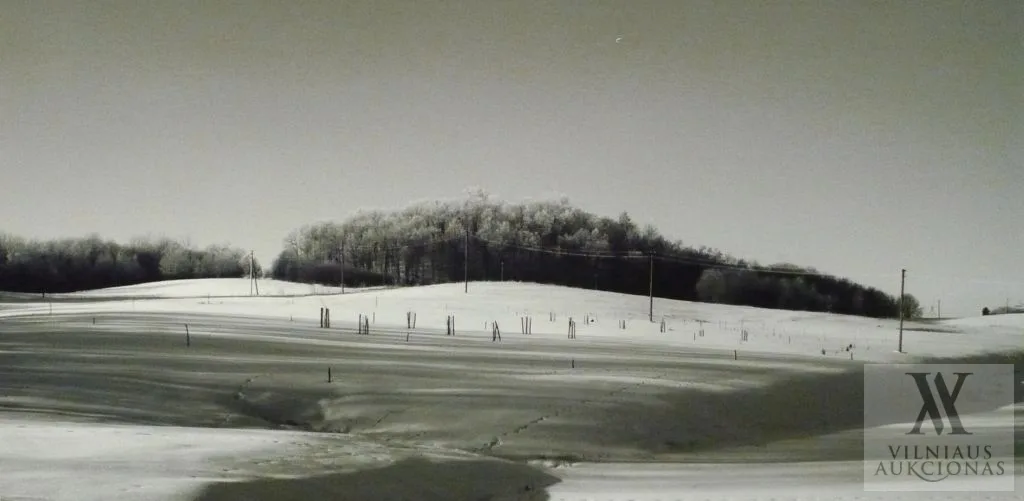 Viktorija Paslaitytė - Čepaitienė – Peizažas