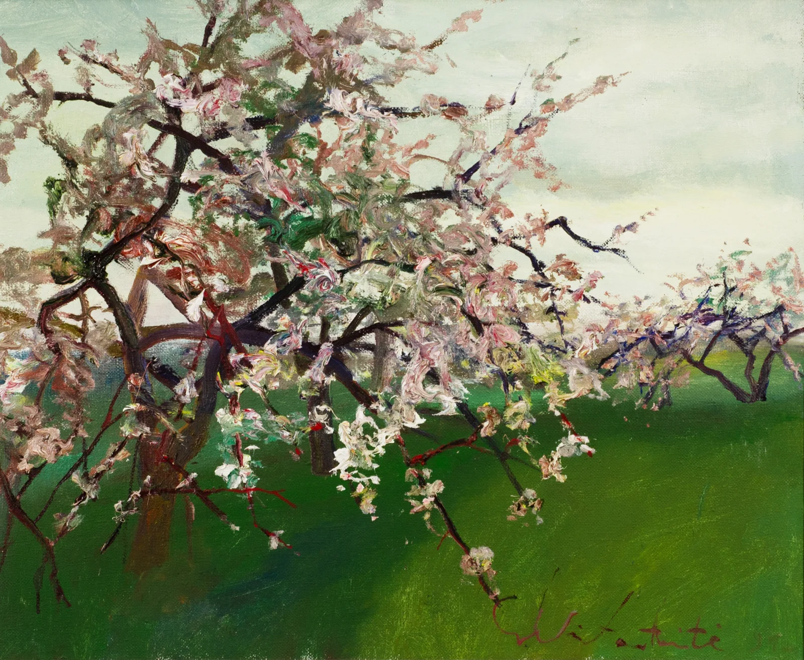 Gražina  Vitartaitė – Pilka obelis