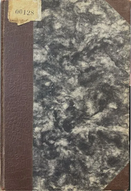 Židinys / Literatūros, mokslo, visuomenės ir akademiškojo gyvenimo masinis žurnalas / IX tomas