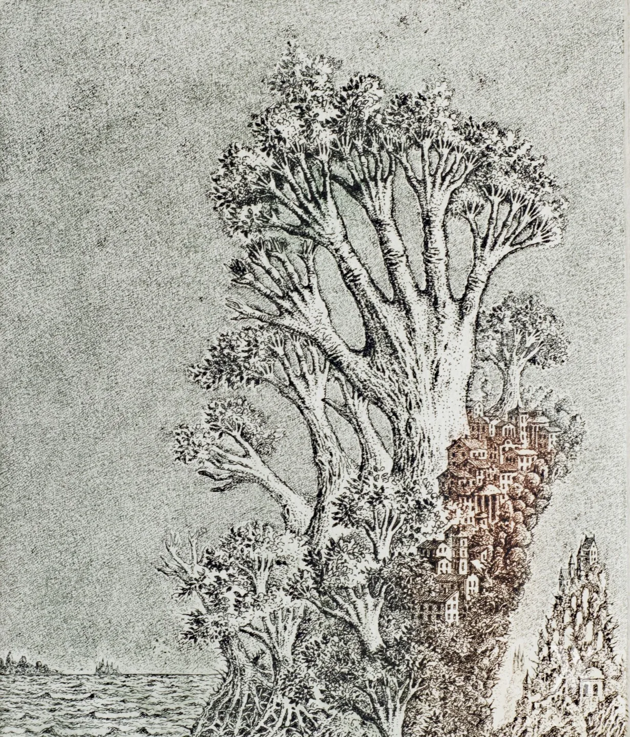 Marius Liugaila – Rankos