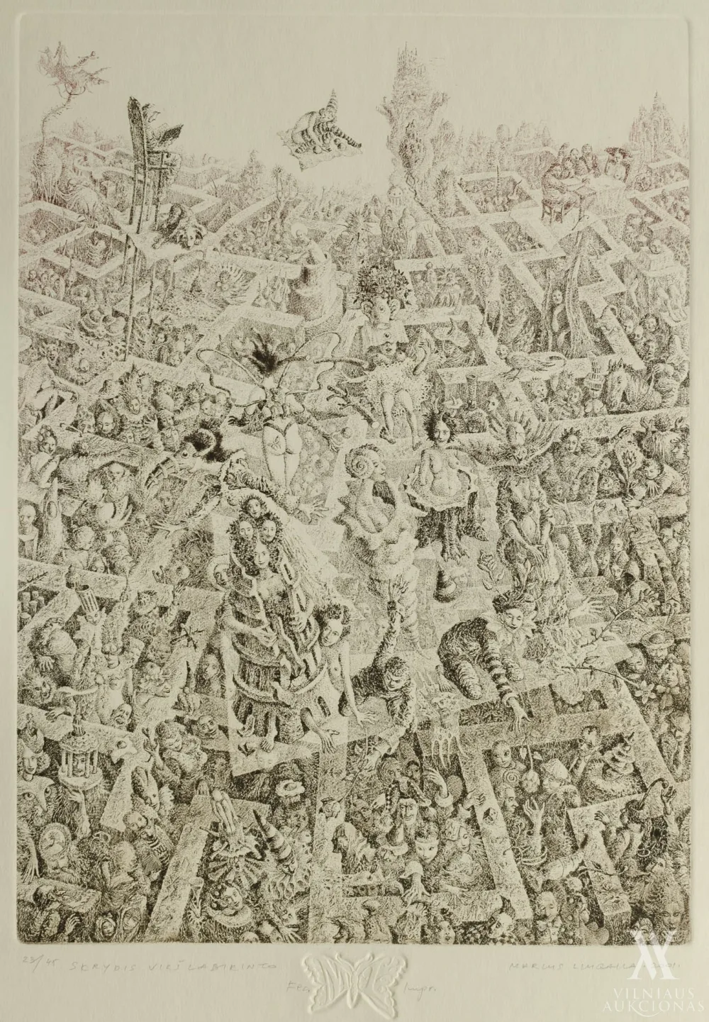 Marius Liugaila – Skrydis virš labirinto