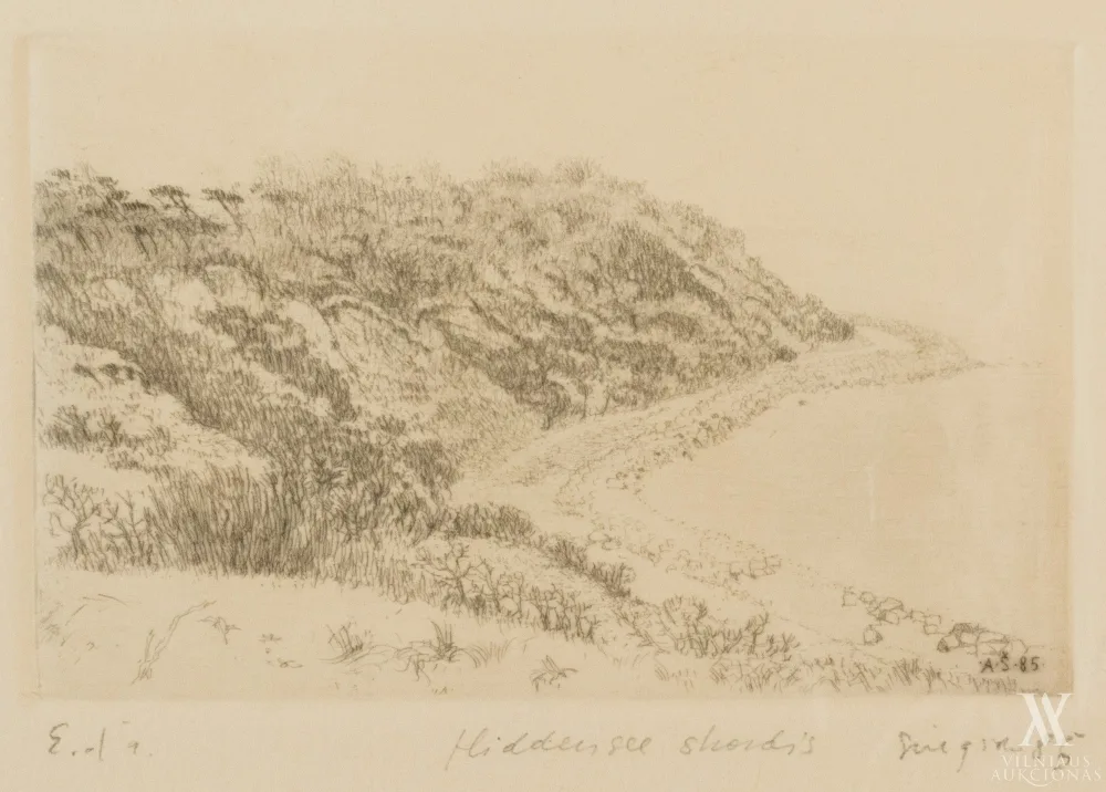 Algimantas Švėgžda – Hiddensee skardis
