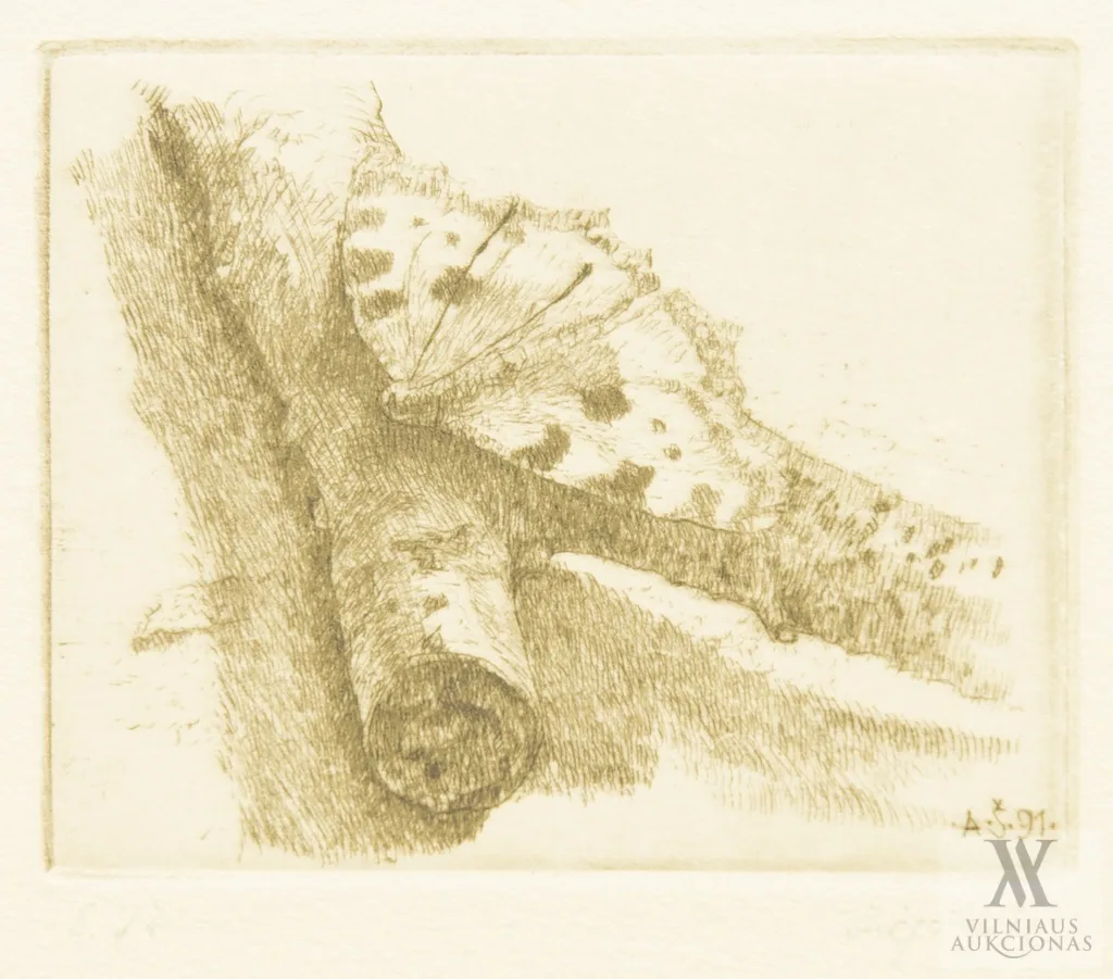 Algimantas Švėgžda – Miškas. Erškėtrožės.  Drugelis. National Geographic Society.