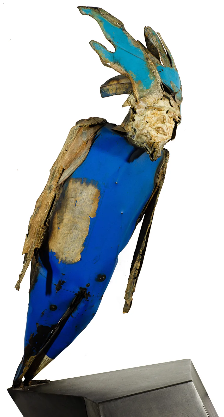 Julian Allègre – Over bleue 