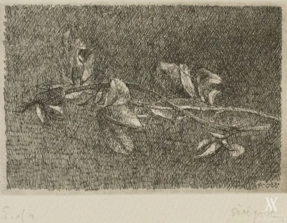 Algimantas Švėgžda – Šakelė