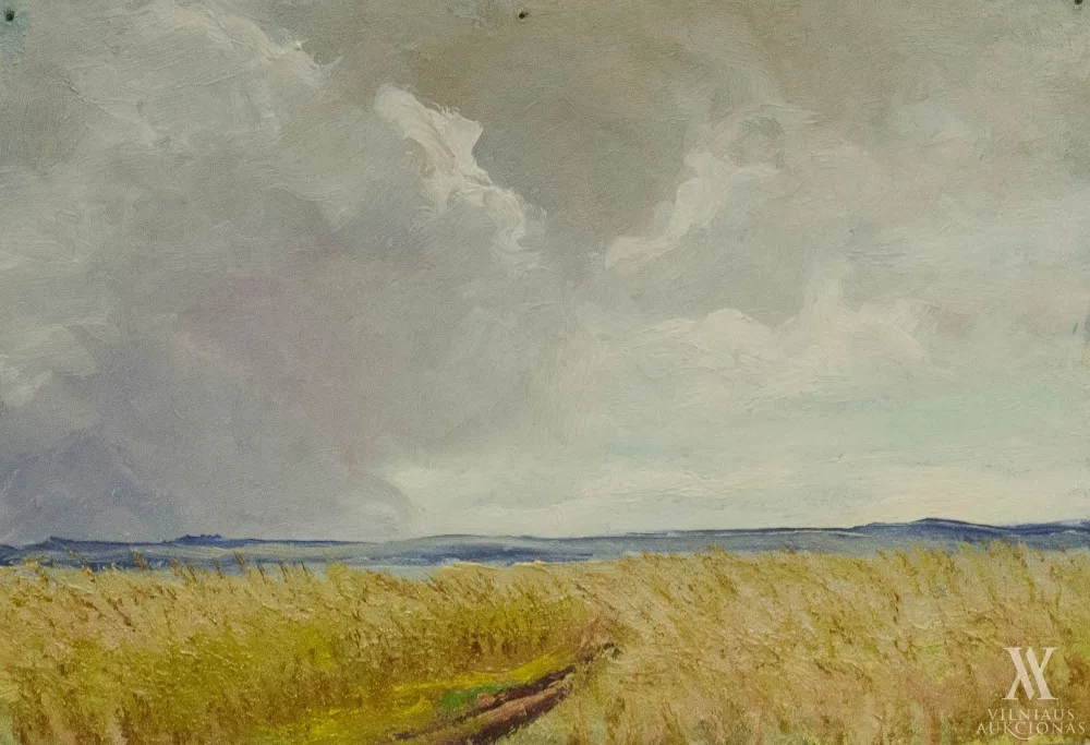 Jonas Vaitys – Rugių laukas