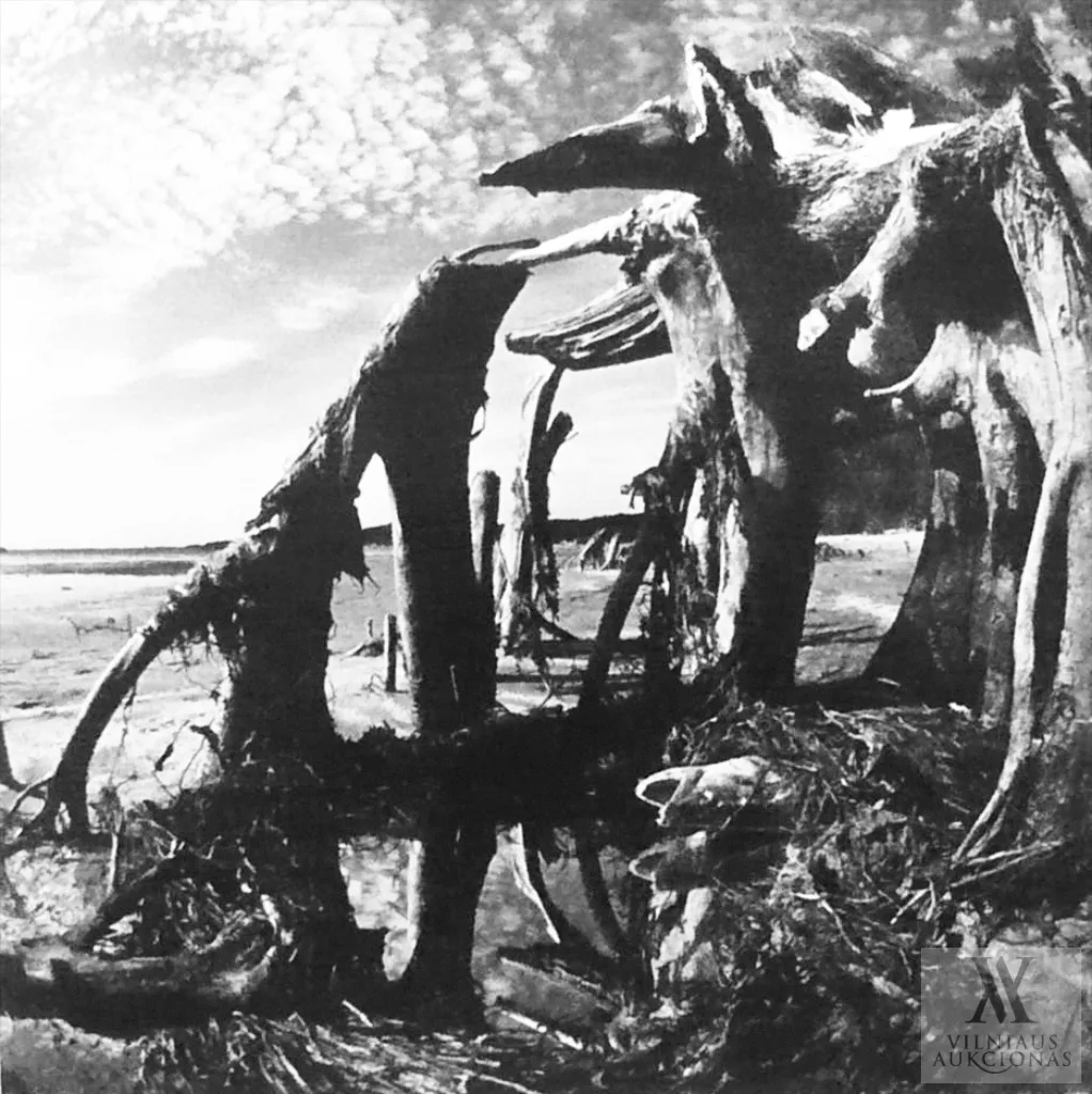 Aleksandras Macijauskas – Išeinantys medžiai (Prie Kauno marių), Nr. 55