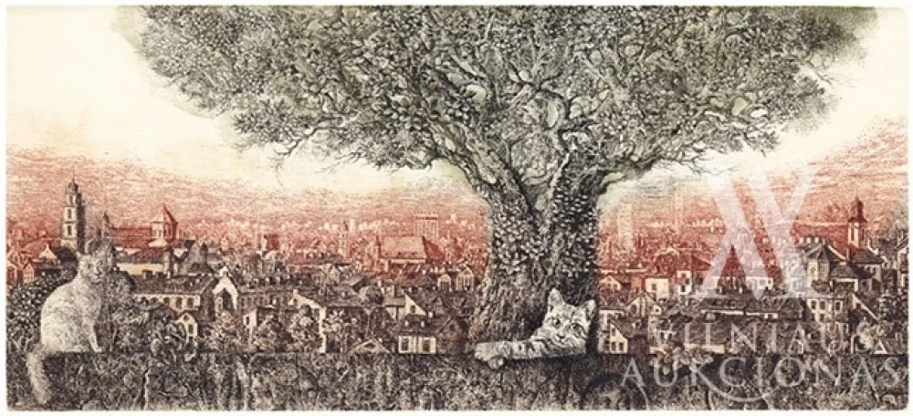 Marius Liugaila – Senamiesčio katės