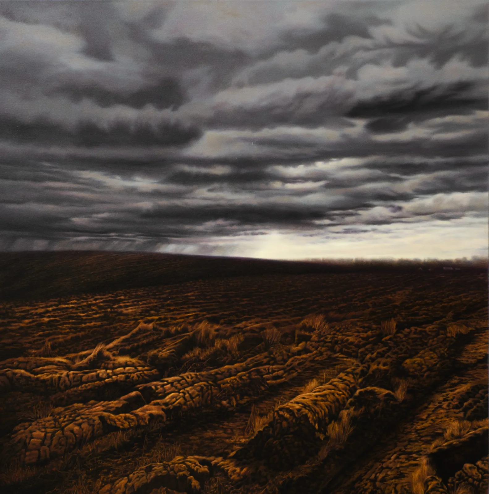Gintaras  Znamierowski – Arimai