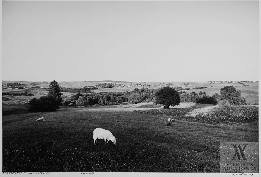 Algimantas Kunčius – Bagdononys, Trakų r.