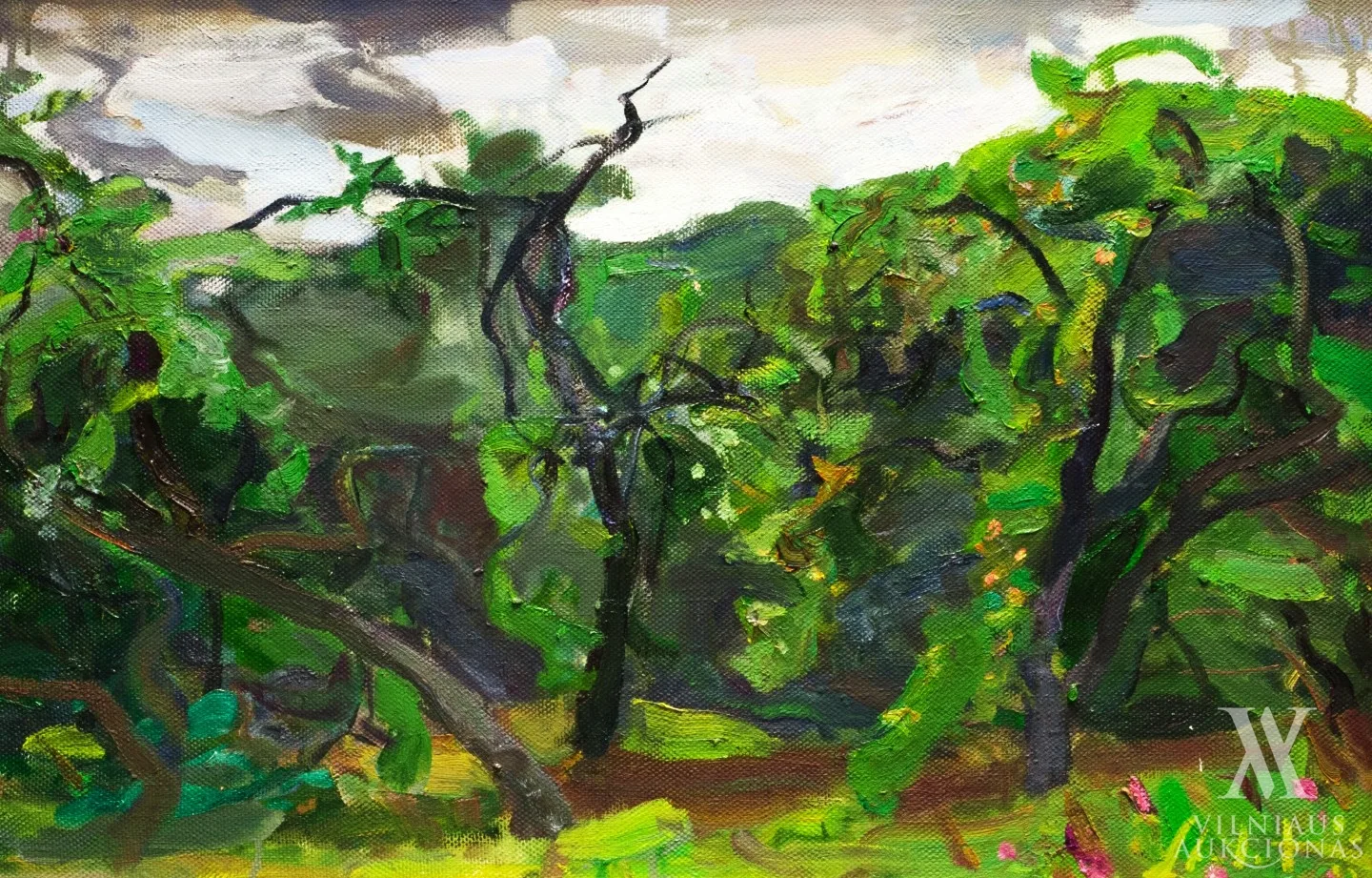 Mindaugas Skudutis – Sodas vasarą