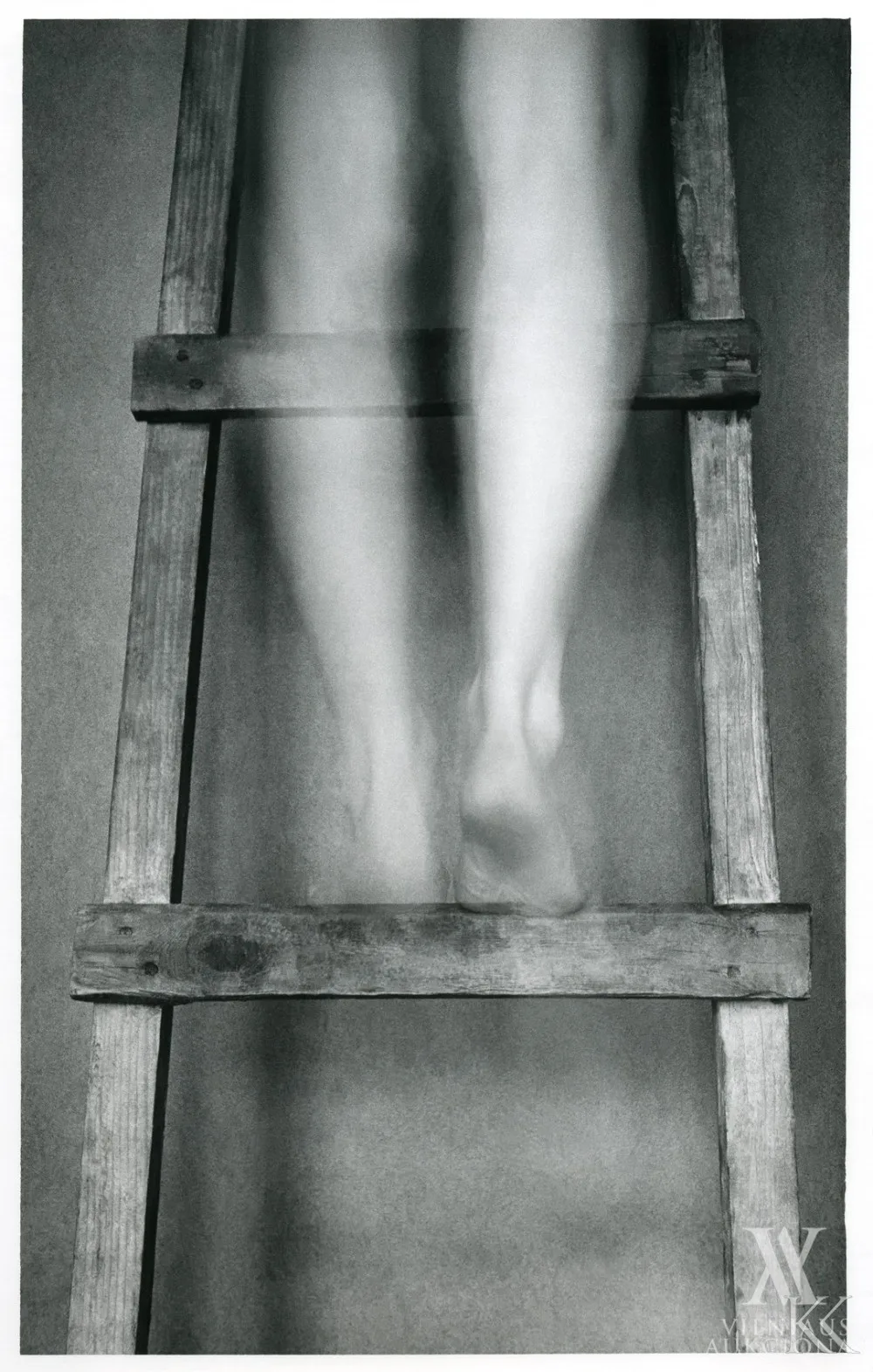 Violeta Bubelytė – Aktas, 1