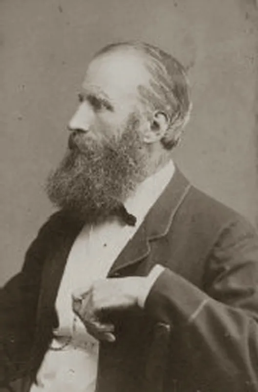 Henri William Banks Davis